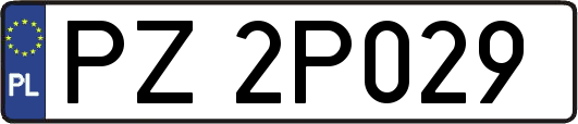 PZ2P029
