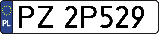 PZ2P529