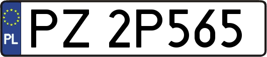 PZ2P565