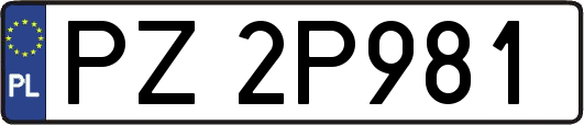 PZ2P981