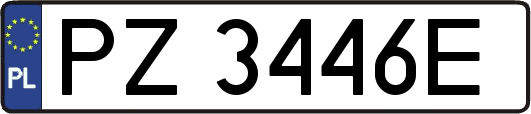 PZ3446E