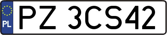 PZ3CS42