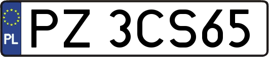 PZ3CS65