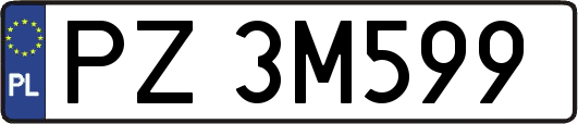 PZ3M599