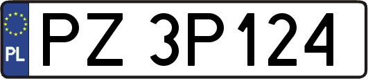 PZ3P124