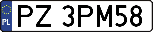 PZ3PM58