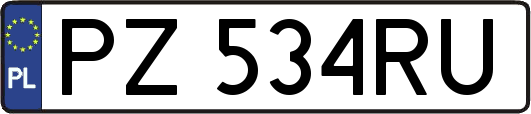 PZ534RU