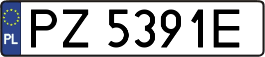 PZ5391E