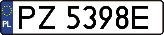 PZ5398E