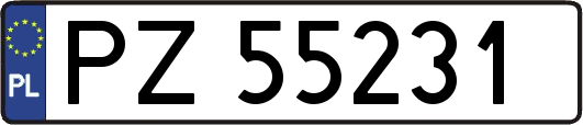 PZ55231