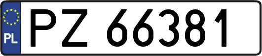 PZ66381