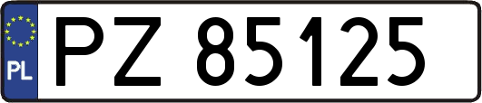 PZ85125