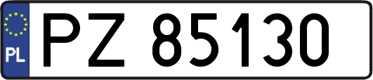 PZ85130