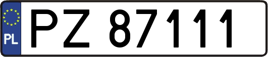 PZ87111