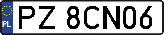 PZ8CN06