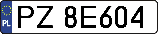 PZ8E604