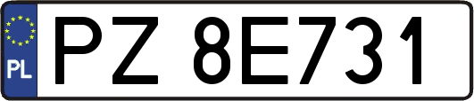 PZ8E731