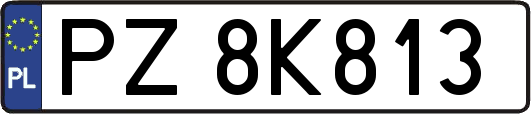 PZ8K813