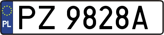 PZ9828A