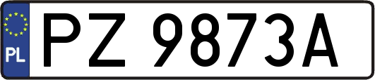 PZ9873A