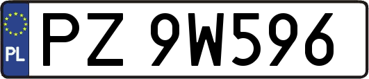 PZ9W596