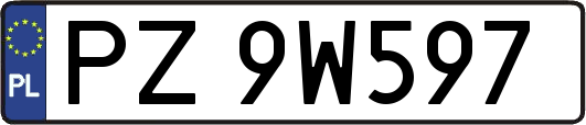 PZ9W597