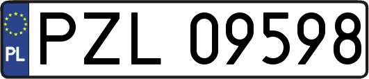 PZL09598