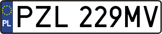 PZL229MV