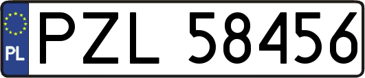 PZL58456
