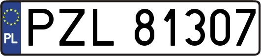 PZL81307