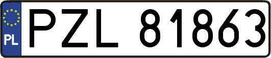 PZL81863