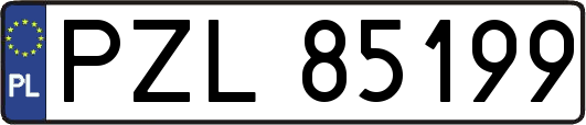 PZL85199