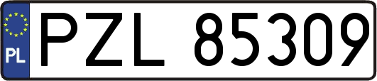 PZL85309