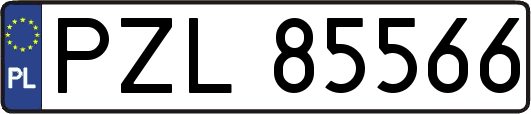 PZL85566