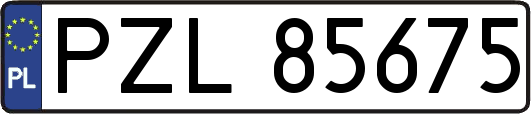 PZL85675