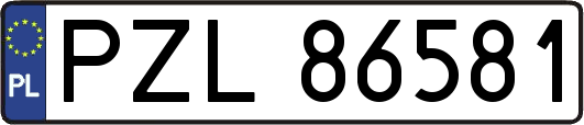 PZL86581