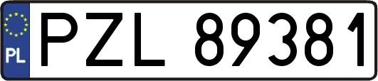 PZL89381