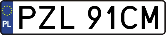 PZL91CM