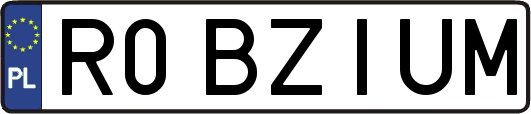 R0BZIUM