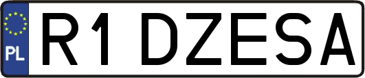 R1DZESA