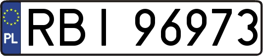 RBI96973