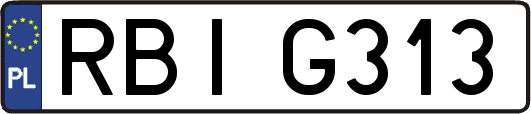 RBIG313