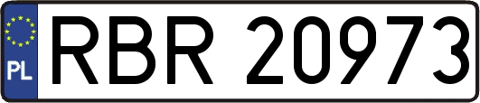 RBR20973