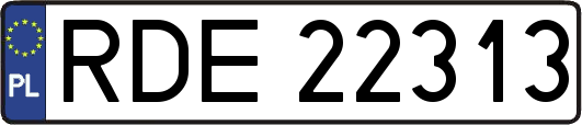 RDE22313