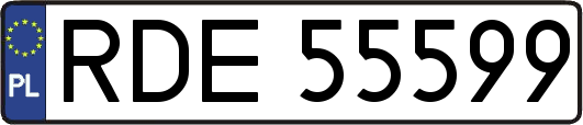 RDE55599