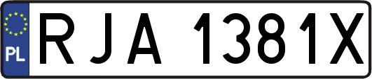 RJA1381X