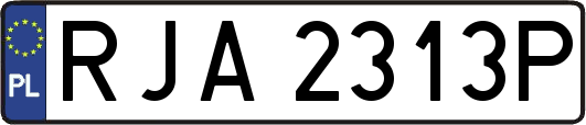 RJA2313P