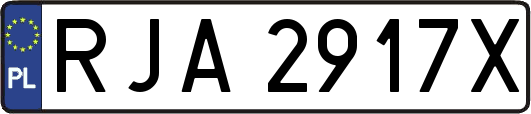 RJA2917X