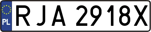 RJA2918X