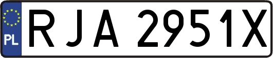 RJA2951X